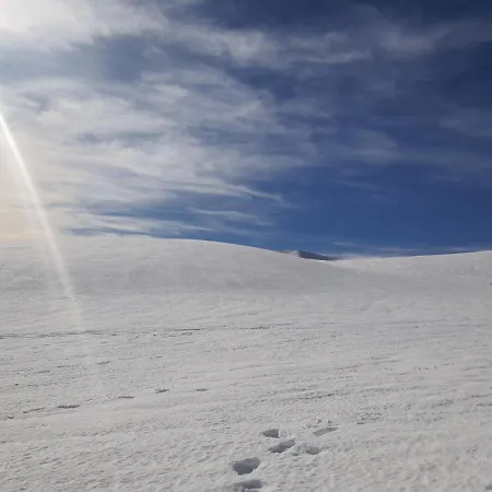 L' Orso Felice - Turistico A Campo Felice * Collimento