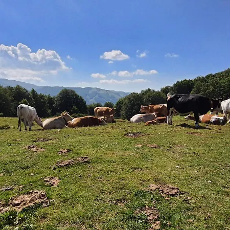 Apartament L' Orso Felice - Turistico A Campo Felice