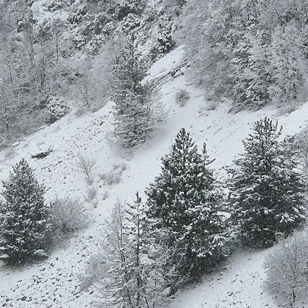 L' Orso Felice - Turistico A Campo Felice * Collimento
