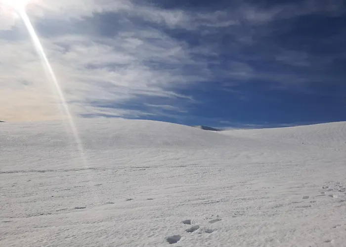 L' Orso Felice - Turistico A Campo Felice * Collimento
