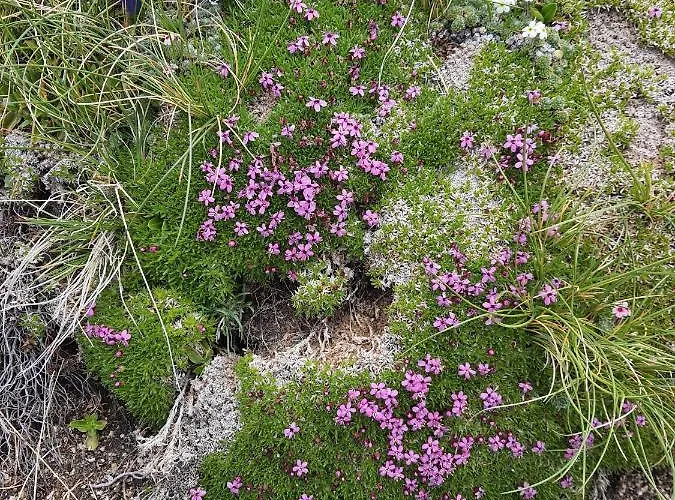 L' Orso Felice - Turistico A Campo Felice Lägenhet Collimento