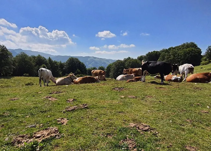 Lägenhet L' Orso Felice - Turistico A Campo Felice