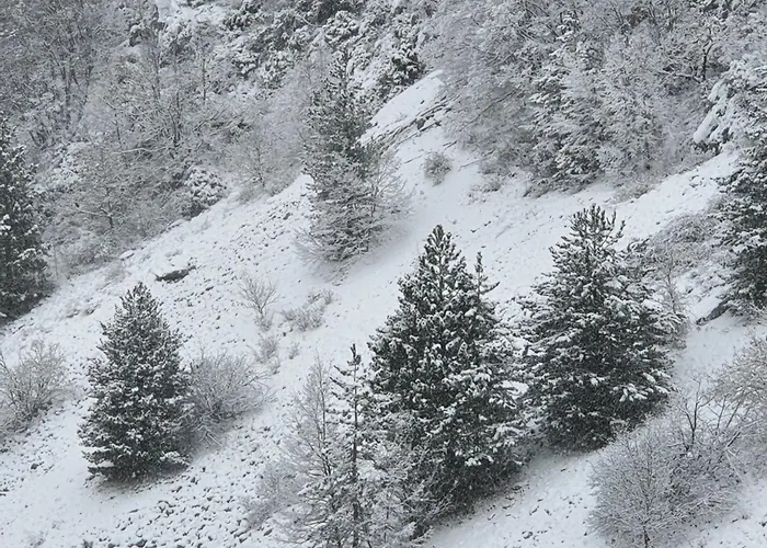 L' Orso Felice - Turistico A Campo Felice * Collimento